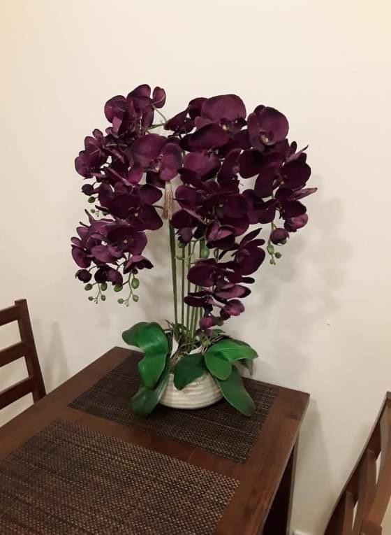 Barbora Apartament Druskininkai Luaran gambar